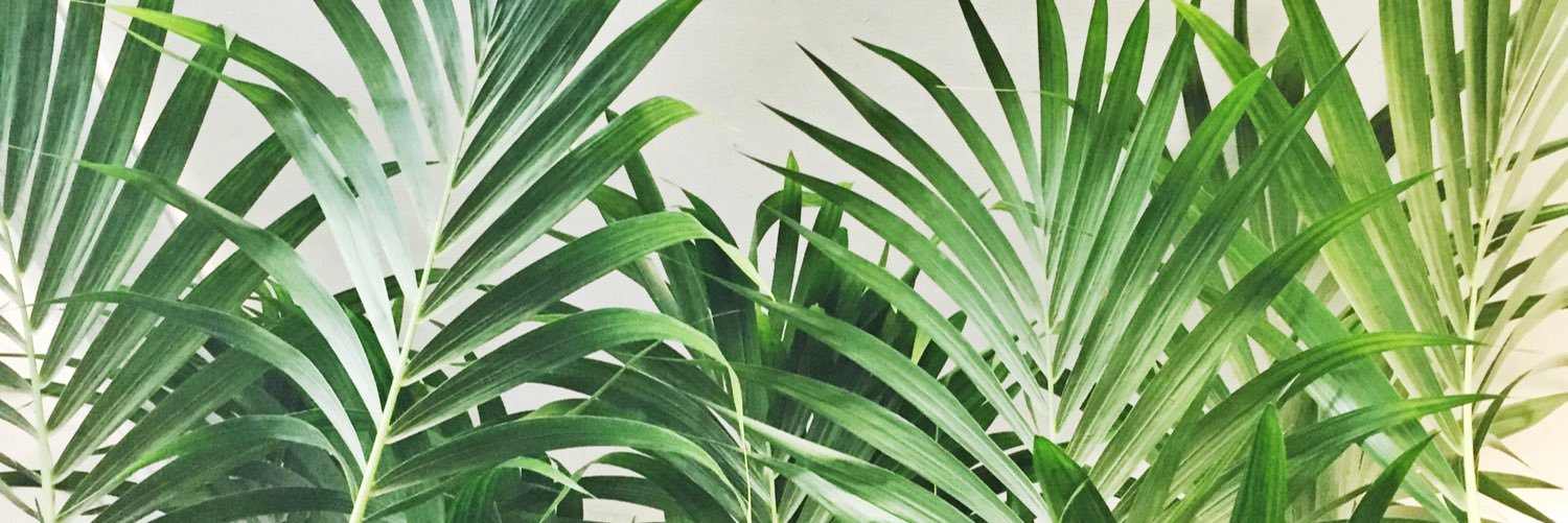 lou__rose's profile banner image