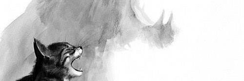 Natividade8's profile banner image