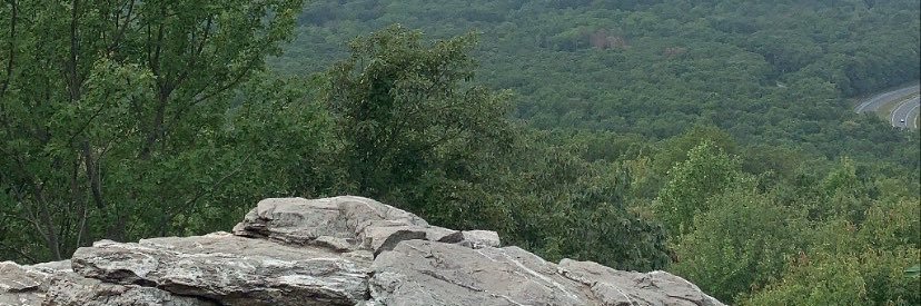 bizzy_marie28's profile banner image