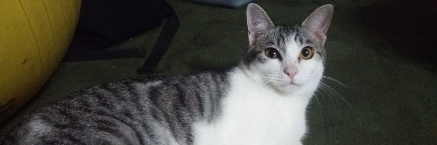 k_ddk's profile banner image