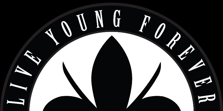 LYFEMedia's profile banner image