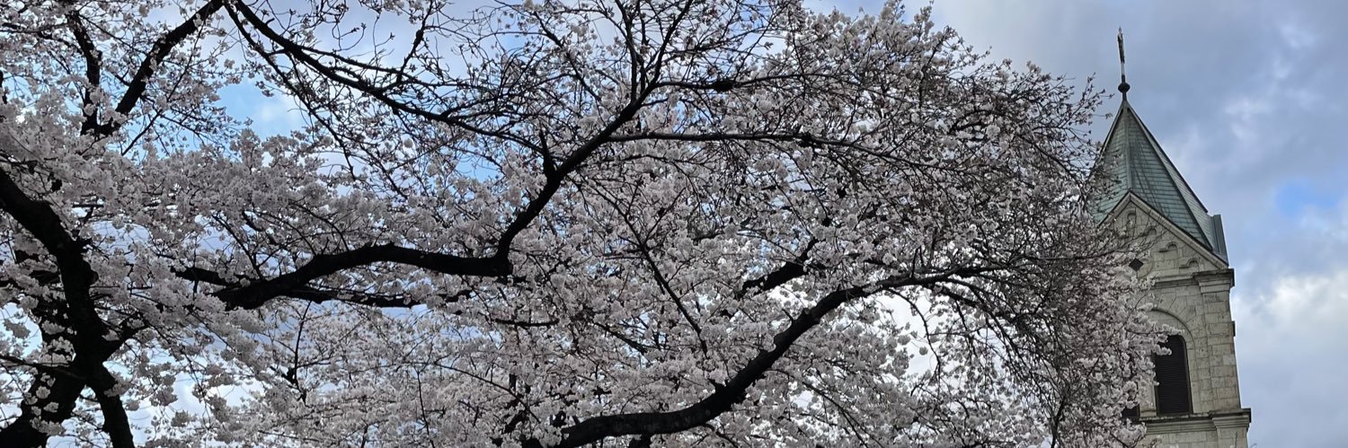 chigucheez's profile banner image