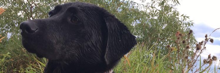 BGundy9's profile banner image