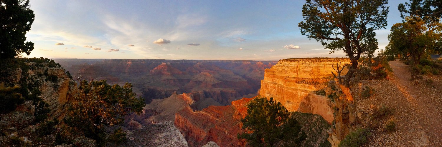 Mark Newhouse banner