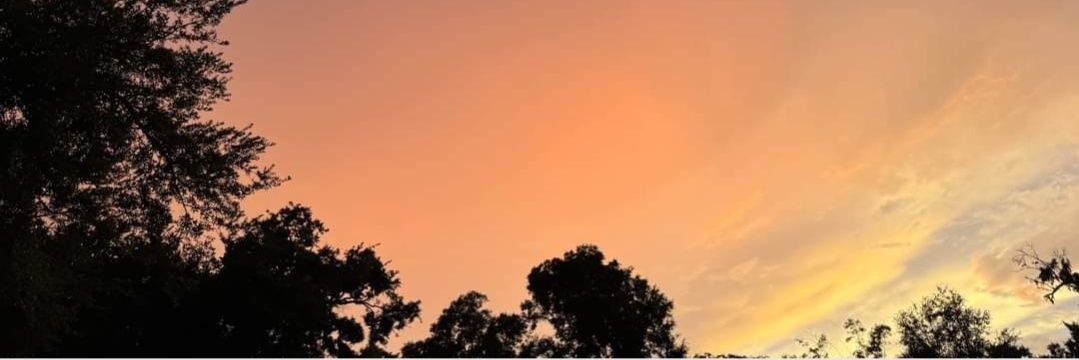 MariaGaspar25's profile banner image