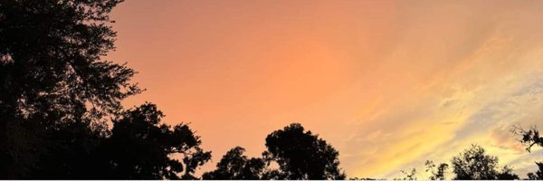 MariaGaspar25 Profile Banner