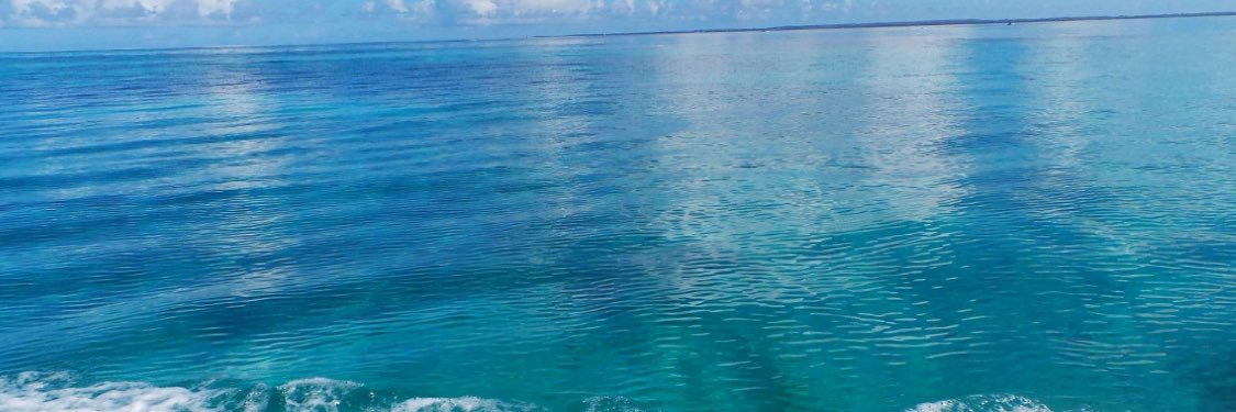 robertabohm's profile banner image