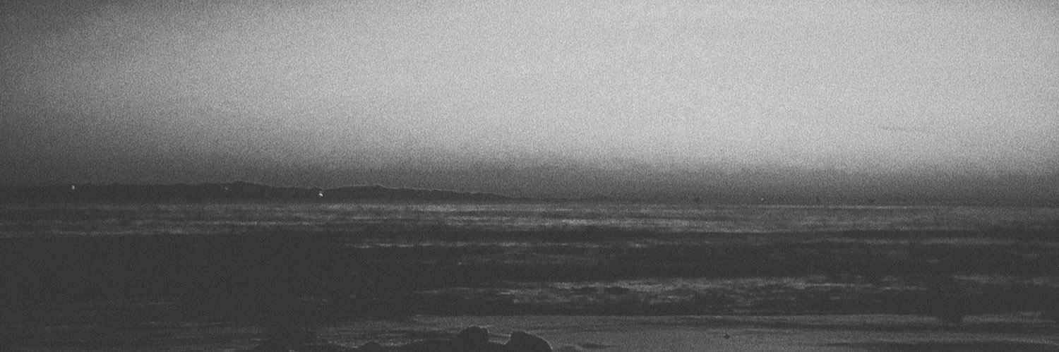 lilroachyyy's profile banner image