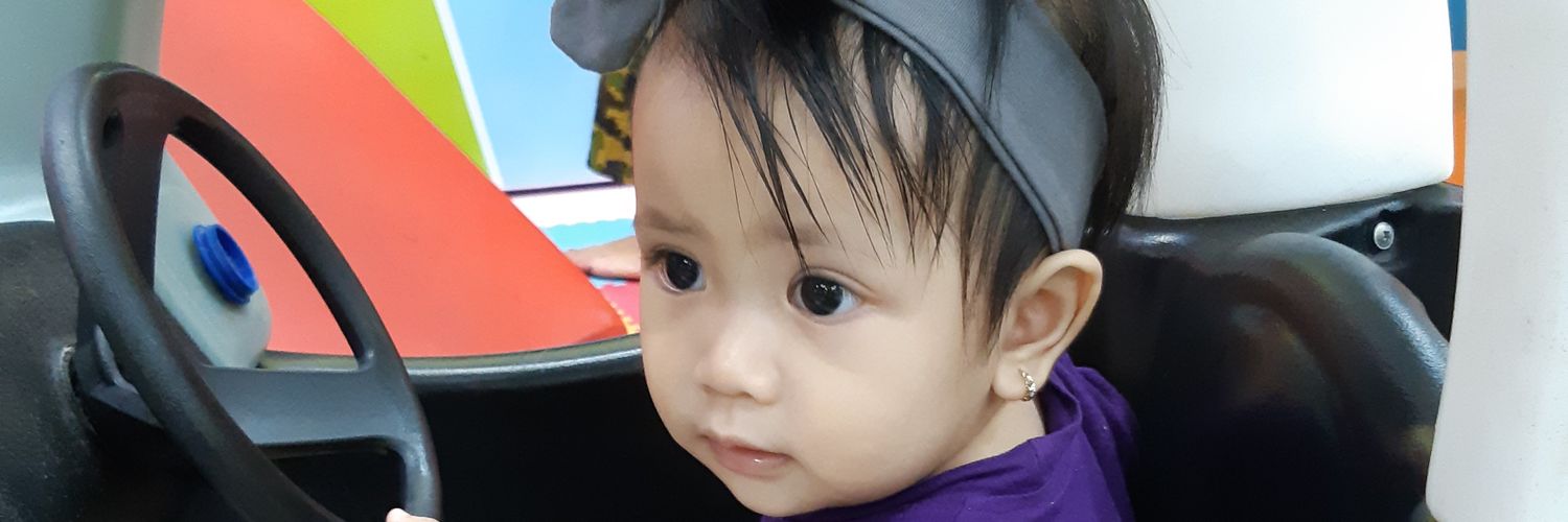 Abdullah Fikri Ashri banner