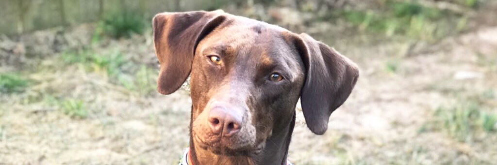 jules_milly's profile banner image