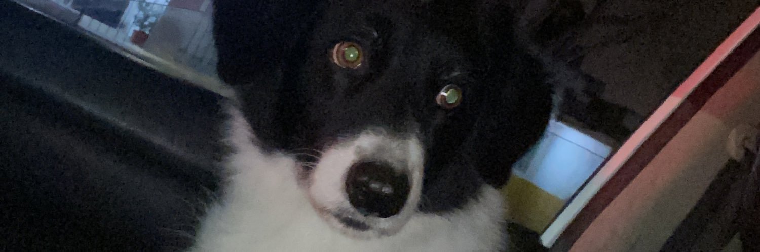 JereGerlero's profile banner image
