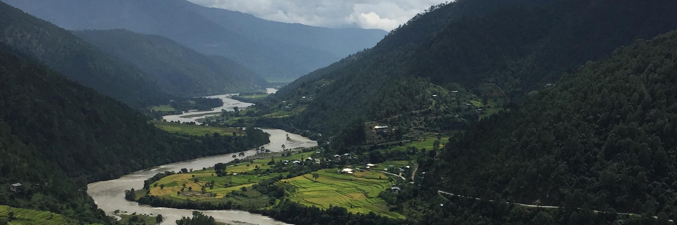 Sara Schapiro banner