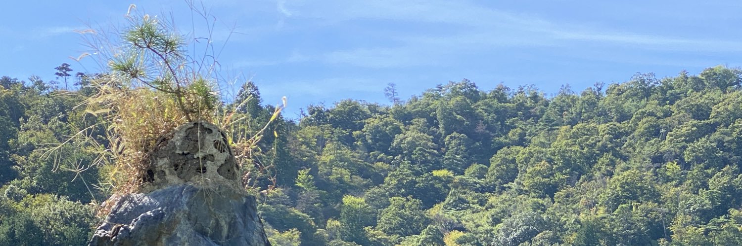 mqkitam's profile banner image