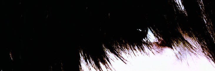 Jax banner