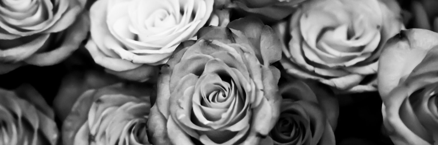 AshleyKnight23's profile banner image