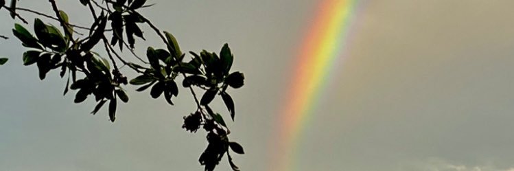 rfaelsntos's profile banner image