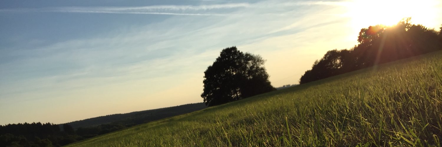 franzimrsmeyer's profile banner image
