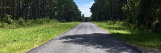 Christina Parisi banner