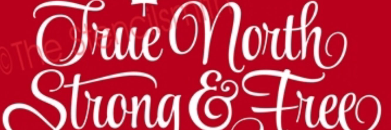 donnellyk87's profile banner image