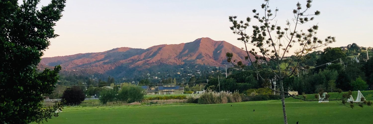 Mill Valley Police banner