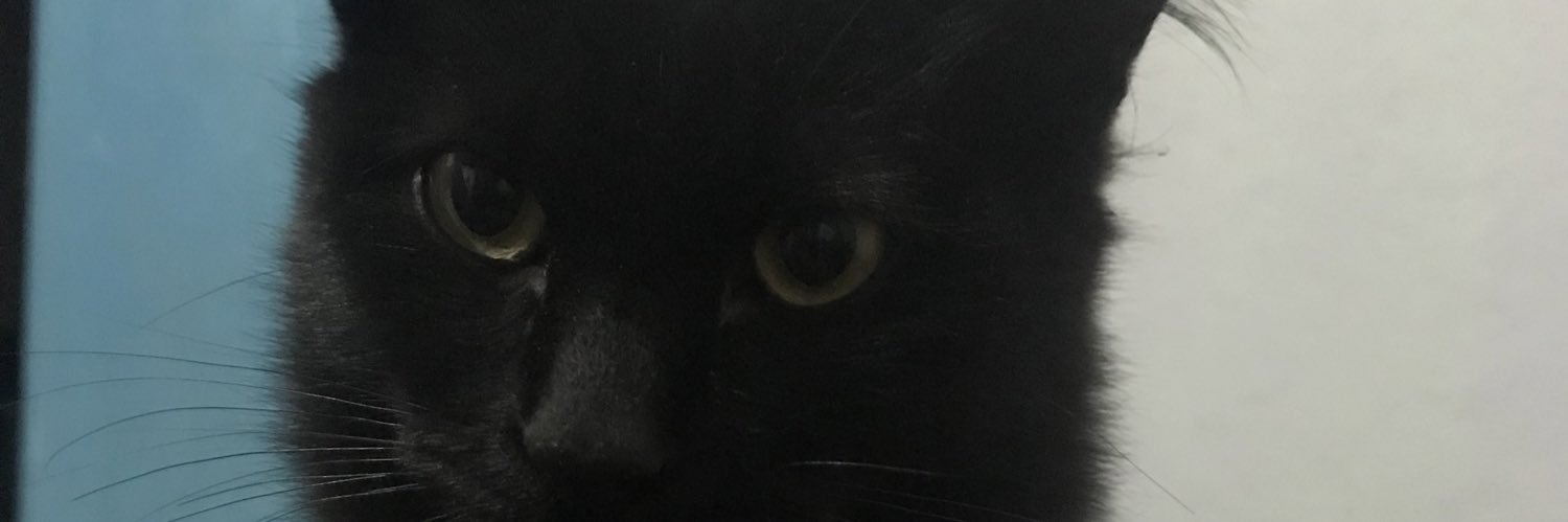 wesleysr97's profile banner image