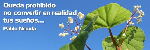 MirianV2's profile banner image