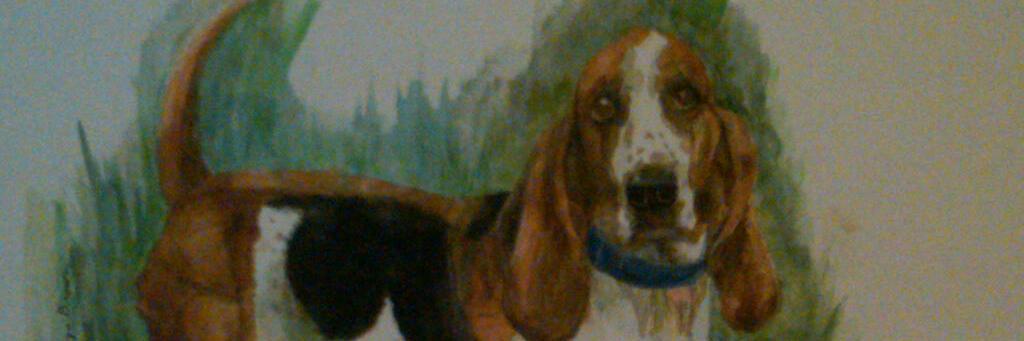 asdombroff's profile banner image