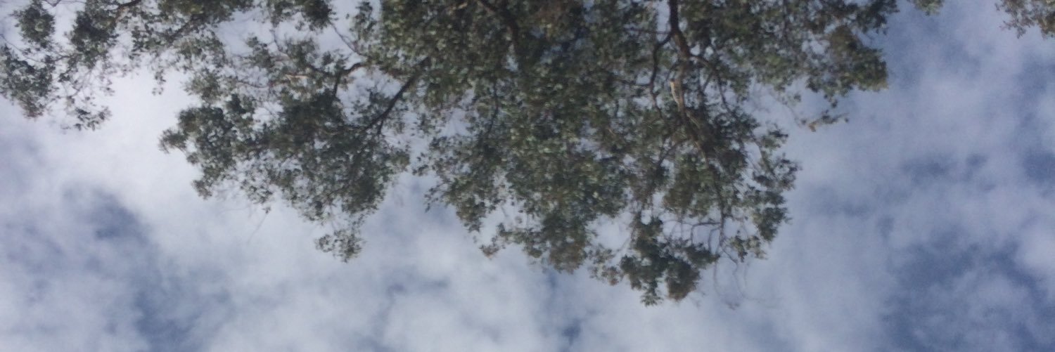 MickeyMackintsh's profile banner image