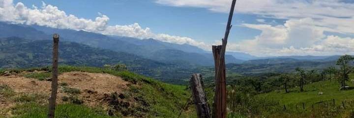 HansAris's profile banner image