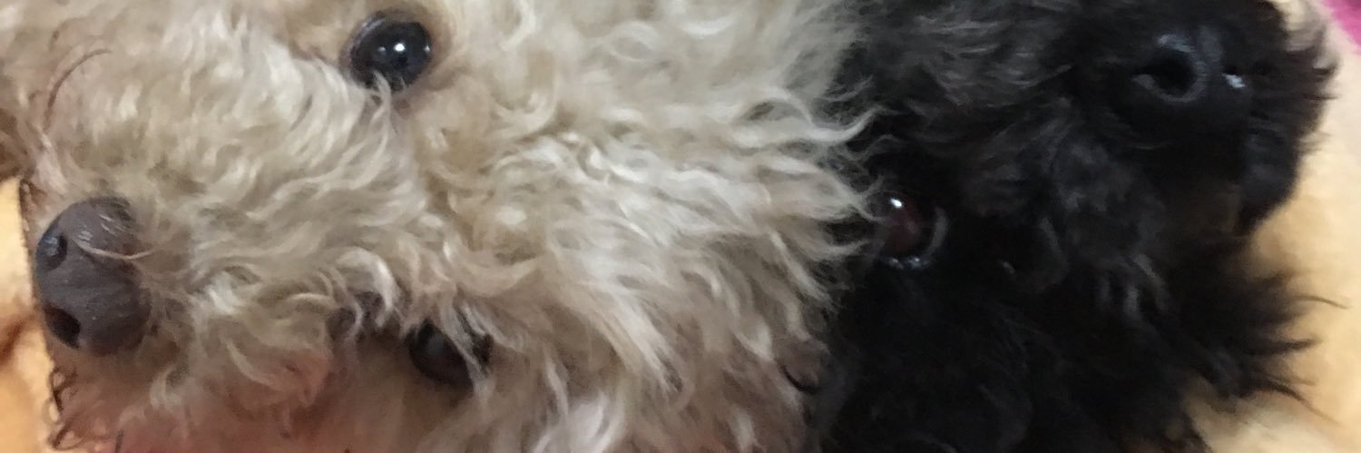 sofig234's profile banner image