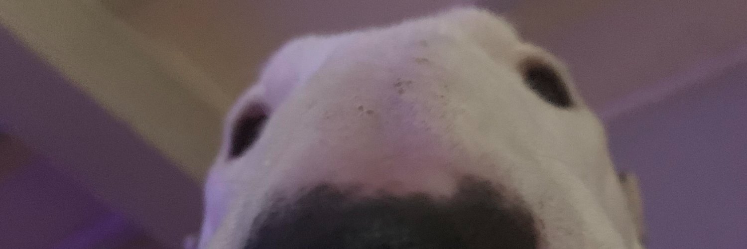 Kippenoma's profile banner image