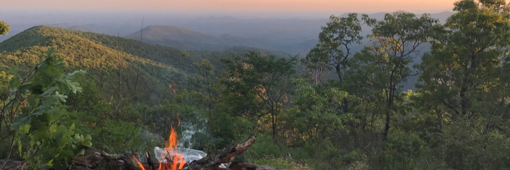 MrRoseKnows's profile banner image