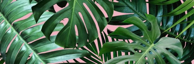 JulieAEhm's profile banner image
