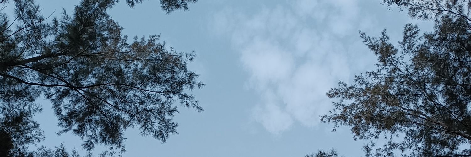 duanerebalde's profile banner image