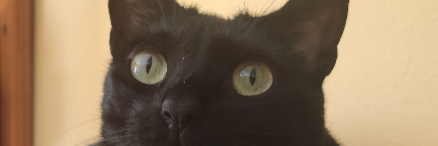 Jesus_Roca95's profile banner image