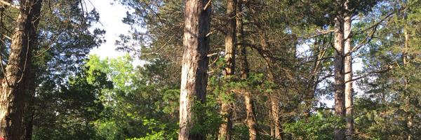 tycarten Profile Banner