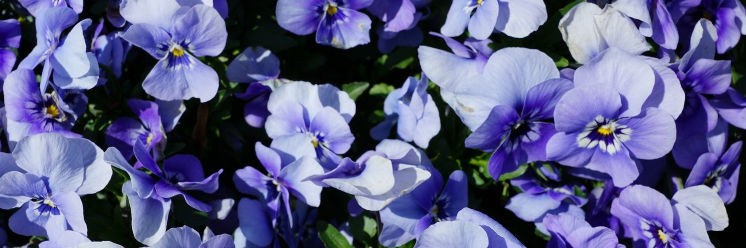 CU_TriDelta's profile banner image