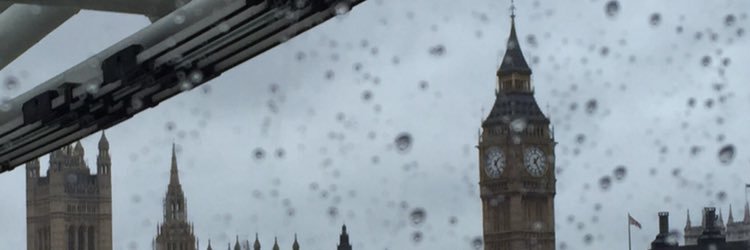 _allison02's profile banner image