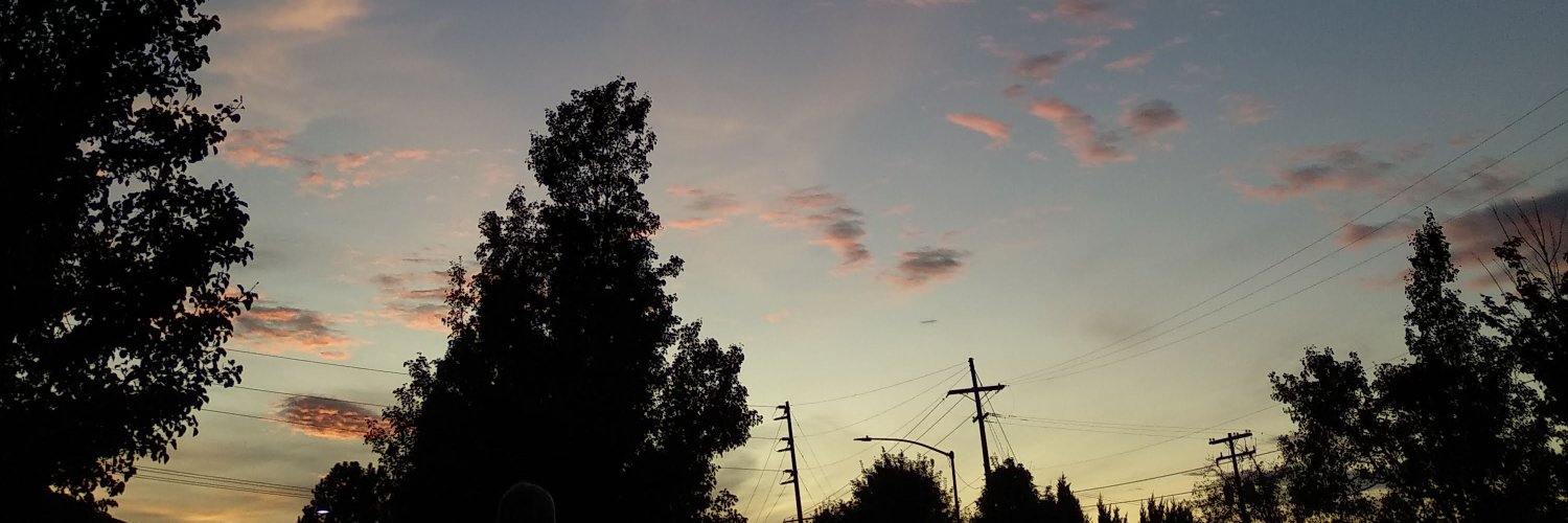 saraa_escu's profile banner image