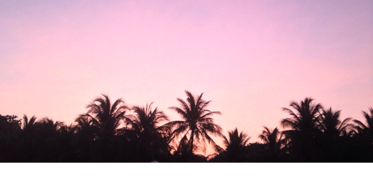 neeenurs's profile banner image