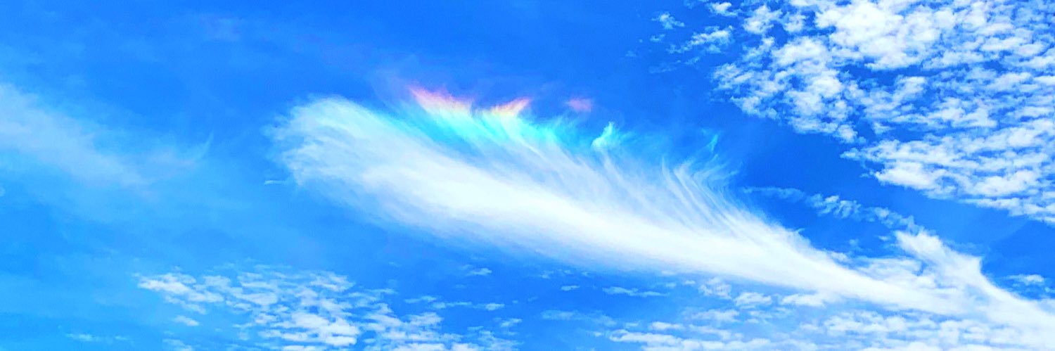 lilyfroger's profile banner image
