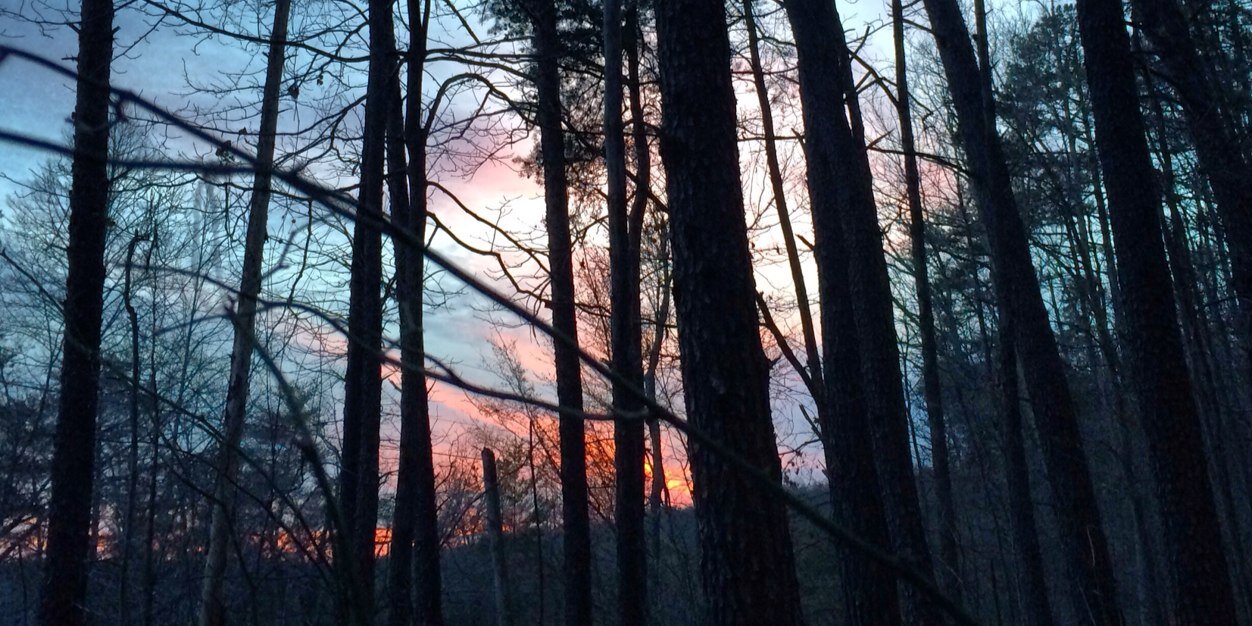 landry_marigny's profile banner image