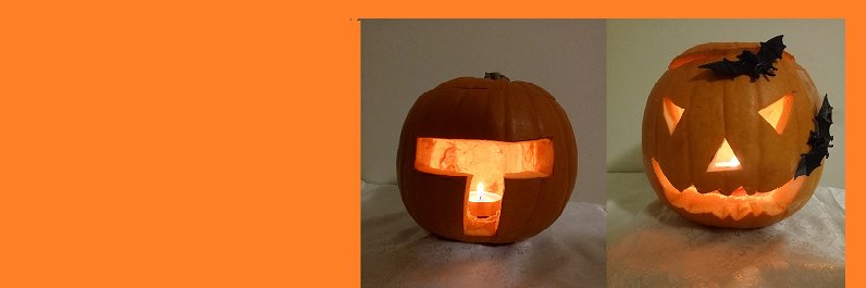 memetanchin's profile banner image