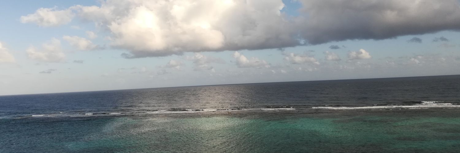 16Jellyb's profile banner image