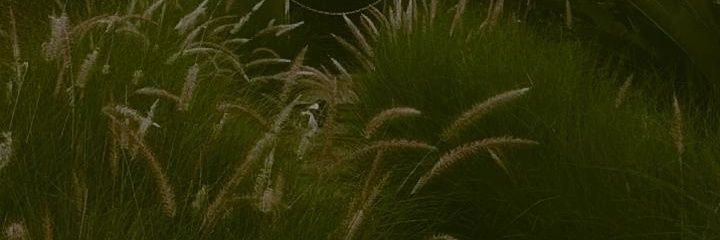 xyznh's profile banner image
