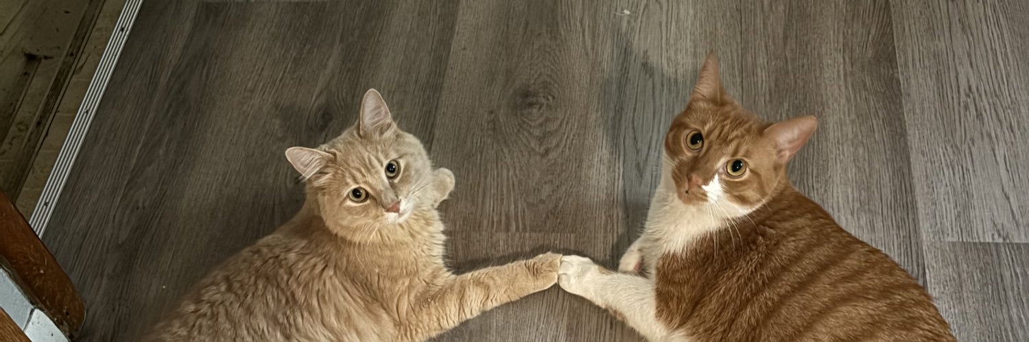 CaptainDebbie7's profile banner image
