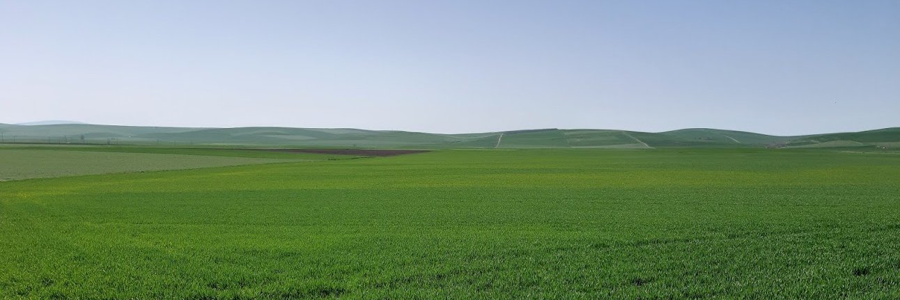 Dimitrios Argyriou banner