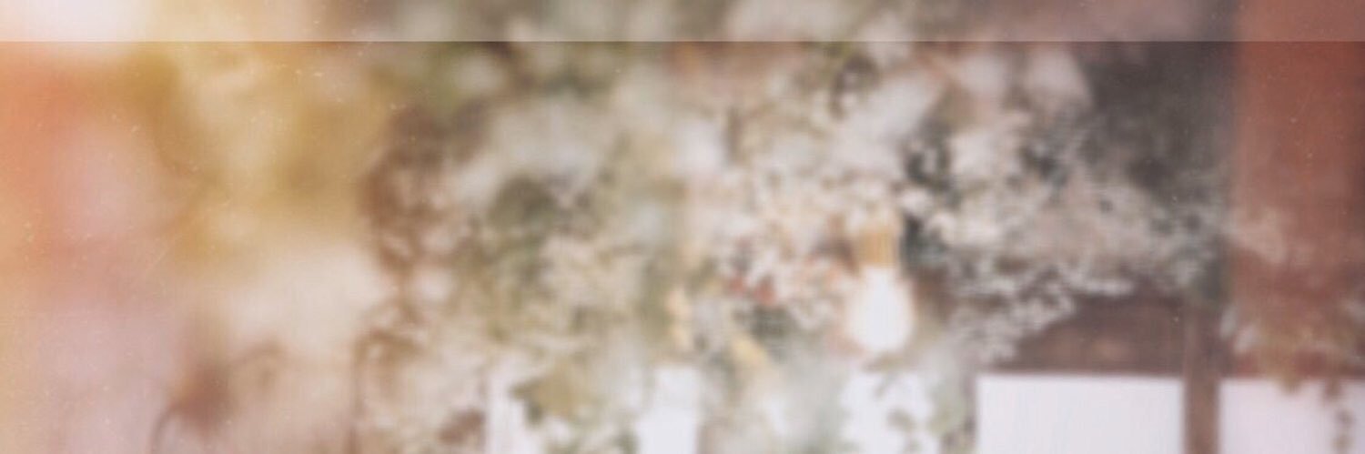 lapinus_34's profile banner image