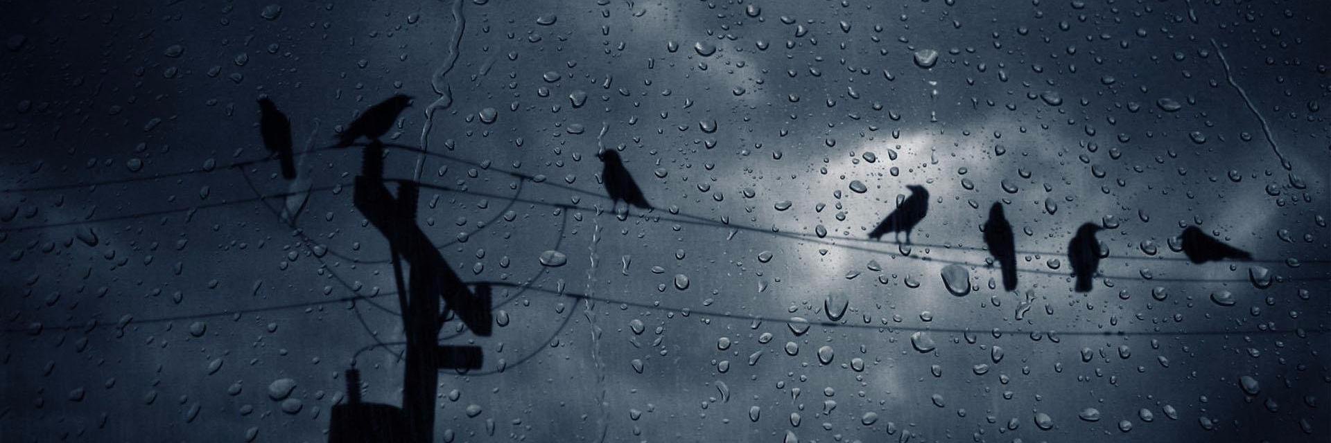 BiyikliAdammm's profile banner image