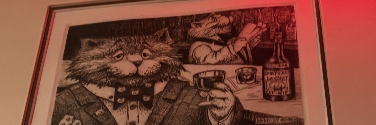 brintrichter's profile banner image